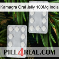 Kamagra Oral Jelly 100Mg India 17